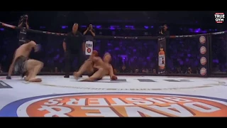 Matt Mitrion Fedor Emelianenko fight and knockout