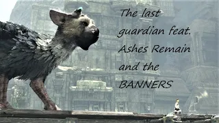 The last guardian GMV