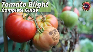 Tomato Blight - 5 Easy Steps to Protect Your Plants!