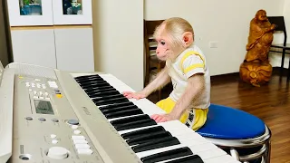 So cute! BiBi cried for food after learning the organ!