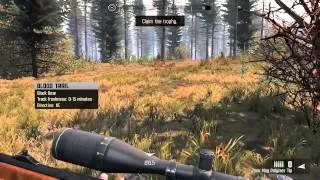 Cabela's Big Game Hunter PRO HUNTS - Northeast gameplay - Bear