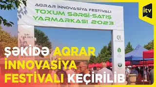 Şəkidə Aqrar İnnovasiya Festivalı keçirilib