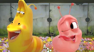 LARVA - PINK LOVE | Cartoon Movie | Cartoons For Children | Larva Cartoon | LARVA Official