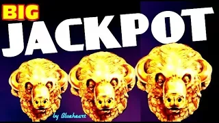 ★ WOW! ★  BUFFALO GOLD slot machine JACKPOT HANDPAY WIN! (15 Gold heads collected)