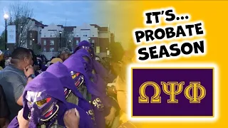 It's Probate Season 🟣 🟡 #omegapsiphi | #experiencebsu