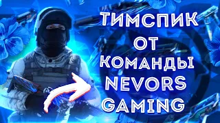 Типичный тимспик от команды Nevors Gaming | Standoff 2