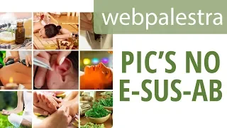 Webpalestra - Registro dos atendimentos em PICs no eSUS-AB