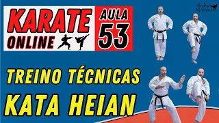 KARATE ONLINE | AULA 53 - TREINO DE TÉCNICAS DOS KATA HEIAN