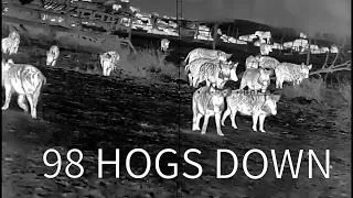 98 HOGS DOWN | Thermal Hog Hunting in Texas **Why hunters need AR-15s**