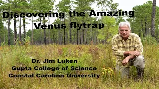 Discovering the Amazing Venus Flytrap