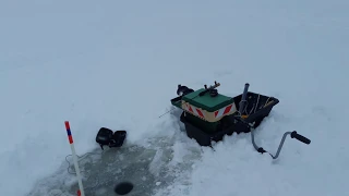 Рыбалка Юрьевец-Глазова гора 05.01.2019