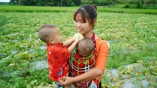 Single mother raising two children, Harvest melons to sell, Take care of children, Cooking