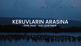 Keruvların Arasına [Sözlü Video | Hristiyan İlahisi]