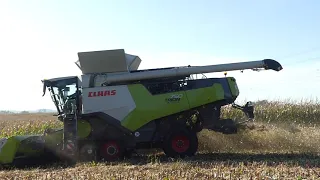 Der neue Claas TRION - Körnermais ernten  /  The new Claas Trion - Harvesting grain maize