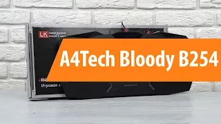 Распаковка A4Tech Bloody B254 / Unboxing A4Tech Bloody B254