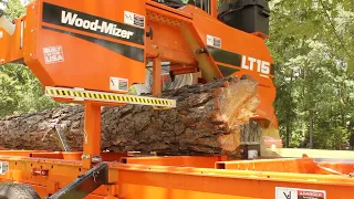 Turning a Pine Tree Into 4x4 Timbers