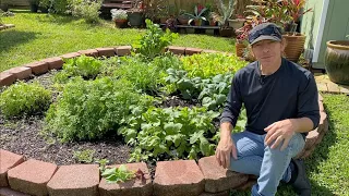 Weekend Garden Update