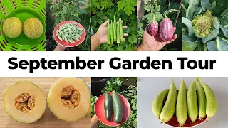 Summer & Fall Harvests! Sep 2020 Vegetable Garden & Zen Garden Tour
