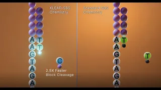 XLEAP SBS™ chemistry on NextSeq™ 1000 & 2000