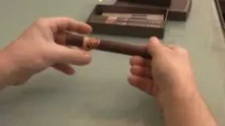 Elektronický doutník - Disposable cigar