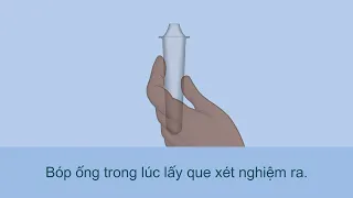 How to do a nasal rapid antigen test – Vietnamese