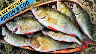 HOW-TO: Catch More Redfin & Murray Cod In Victoria's Lake Buffalo