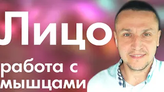 Красота для ЛИЦА. Работа с мышцами на лице – Константин Гражданкин #фейсбилдинг #лицо #красота