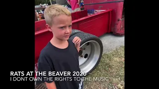 Rats at the Beaver 2020