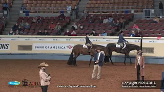 2020 AQHA Amateur Hunter Under Saddle