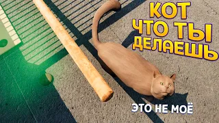 ЧТО ДЕЛАЕТ ЭТОТ КОТ ( Animal Shelter )