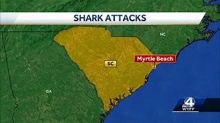 2 shark bites reported at South Carolina’s most popular beach