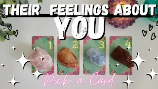 Pick a Card 💖🔮 How Do They Feel About You? 💌 Timeless Tarot Love Reading