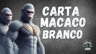 CARTA MACACO BRANCO - DESDOBRAMENTOS- 23/11/2023