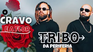 Tribo da periferia - O cravo e a flor ( oficial 2024 single novo )  atualizado #tribodaperiferia