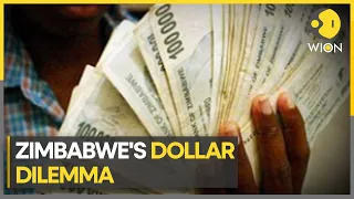 Zimbabwe's Currency Turmoil: 14% Devaluation Sparks Economic Reforms | World Business Watch | WION