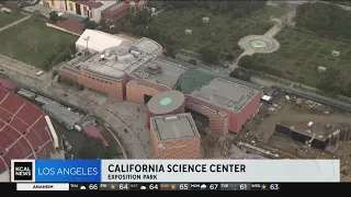 Look At This!: California Science Center in Exposition Park