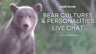 Bear Cultures and Personalities | Brooks Live Chat