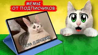 СМОТРИМ ВАШИ МЕМЫ ! Реакция на СМЕШНЫЕ МЕМЫ от ПОДПИСЧИКОВ! ЧТО ТВОРЯТ КОТ МАЛЫШ и КОШЕЧКА МУРКА