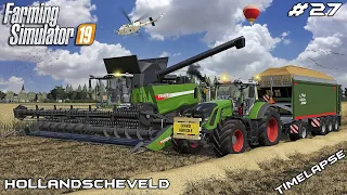 Harvesting WHEAT with FENDT 9490 X | Animals on Hollandscheveld | Farming Simulator 19 | Episode 27