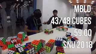 Official MBLD: 43/48 Cubes in 59:00!