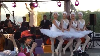 Dance of the Little Swans by Goh Ballet  & VMO