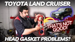 Toyota Land Cruiser Head Gasket Problems? WHAT IS GOING ON?!