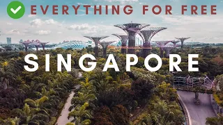 Top 10 FREE THINGS to do in SINGAPORE | Best of Singapore