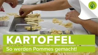 So werden Pommes gemacht!