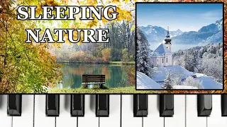 Sleeping Nature - Seasons of Joy | Original Piano Music by Tobias Beiler