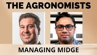 The Agronomists, Ep 142: Managing Midge with Drs. Santosh Kumar and Tyler Wist