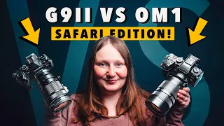 G9ii vs OM1 REAL-WORLD comparison! (on safari!)