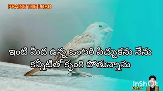 ఇంటి మీద ఉన్న ఒంటరి పిచ్చుకను నేను ||intimeeda unna ontari pichukanu nenu ||Lyrics Song || (petar)