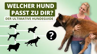 Der ultimative HUNDEGUIDE! So findest du den perfekten Hund FÜR DICH