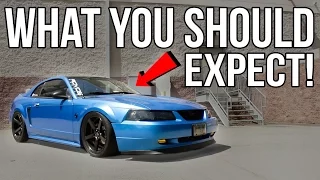 What You SHOULD EXPECT When BUYING A 1999-2004 Mustang!